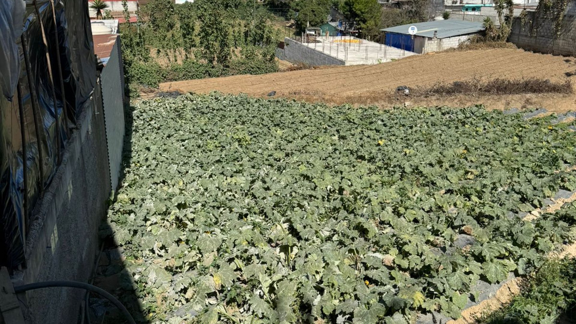 Terreno en Renta en Patzicia, Chimaltenango - Miniatura 4