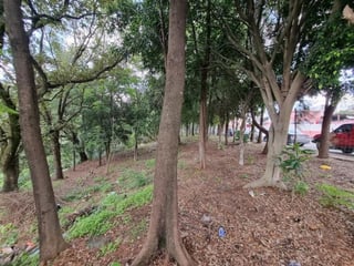 Terreno en Renta para Vivero o Restaurante tipo Pérgola - 5