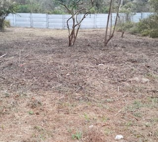 Terreno en Venta Granjas Praderas del Bambú
