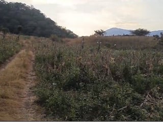 Terreno en venta · Circunvalación al Lago · Amatitlán · 9.8 manzanas - 3
