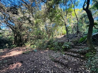 ALQUILER DE AMPLIO TERRENO RURAL - SANTA LUCIA MILPAS ALTAS - Image 12