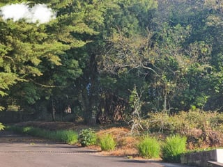 TERRENO EN VENTA EN SAN GERMAN LA MONTAÑA, FRAIJANES KM 19 - Image 2