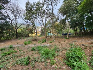Terreno Comercial en Renta Ruta Interamericana Sn Lucas - 3