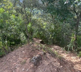 Terreno en venta para desarrollo en zona 16