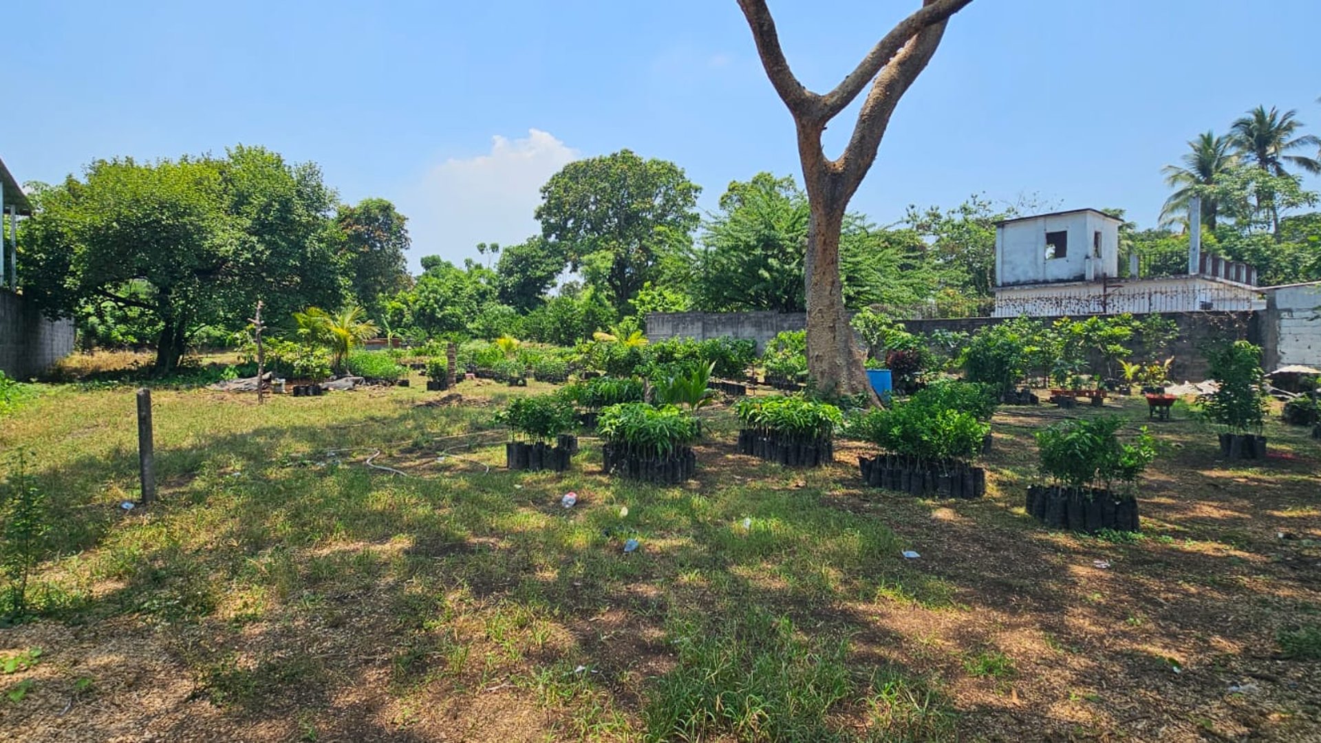 ???? TERRENO EN VENTA – 1,500 M² | QUINTAS VALLARTA | ESCUINTLA - Miniatura 11