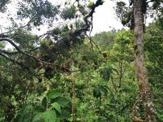 Terreno en venta en Piedra Parada, CES Guatemala - Image 8