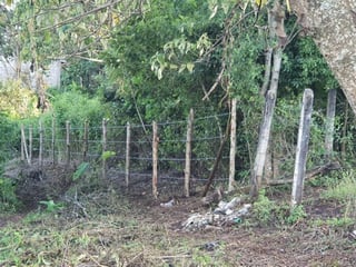 TERRENO EN VENTA EN KM 30 VILLA CANALES  - 2