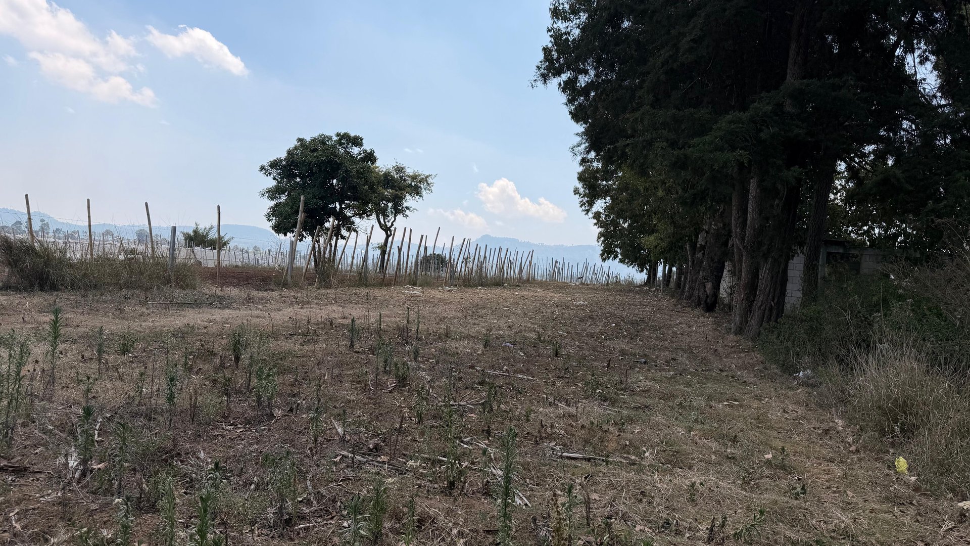 Terreno en Venta Sumpango, Sacatepéquez: 3.7 Hectáreas para su Proyecto - Miniatura 6
