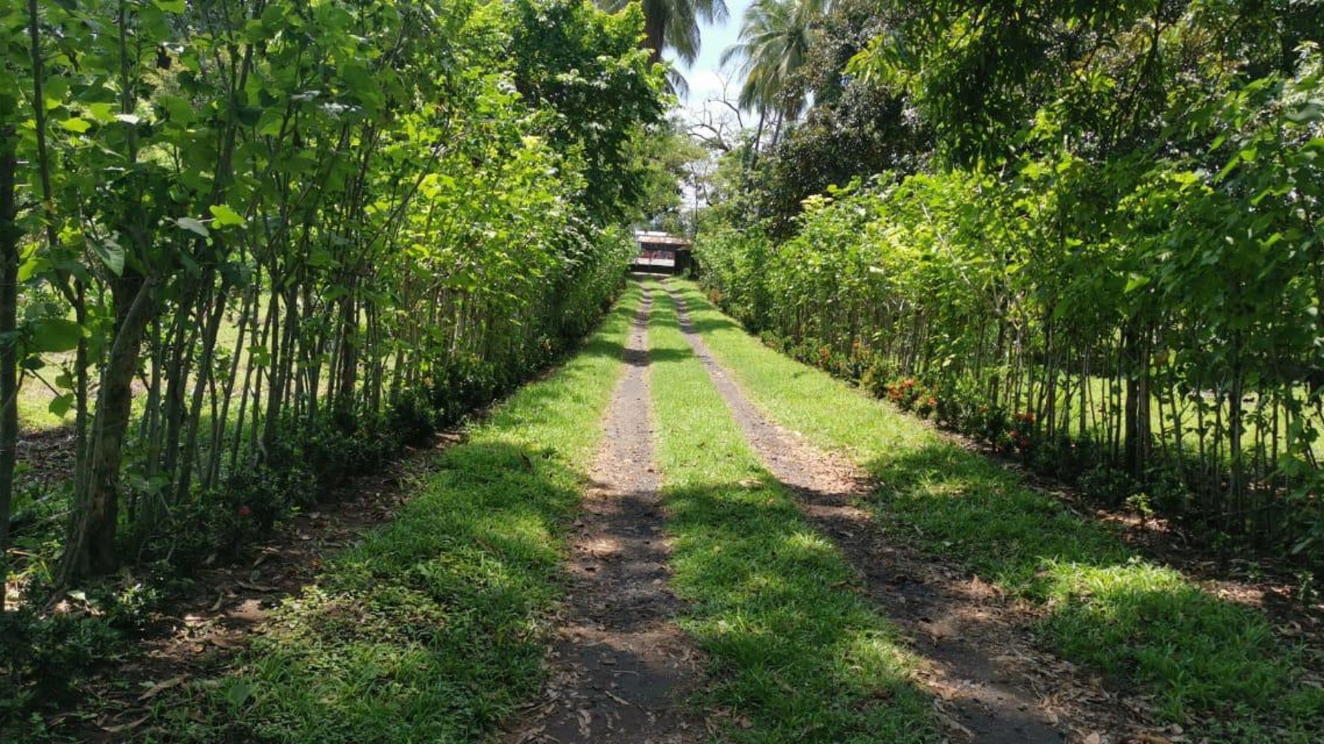 Terreno en Venta Km. 81 Masagua, antigua carretera a Puerto Quetzal - Miniatura 9