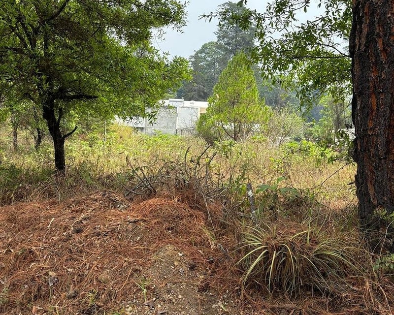 TERRENO EN VENTA EN E ENCINAL ZONA 7 DE MIXCO