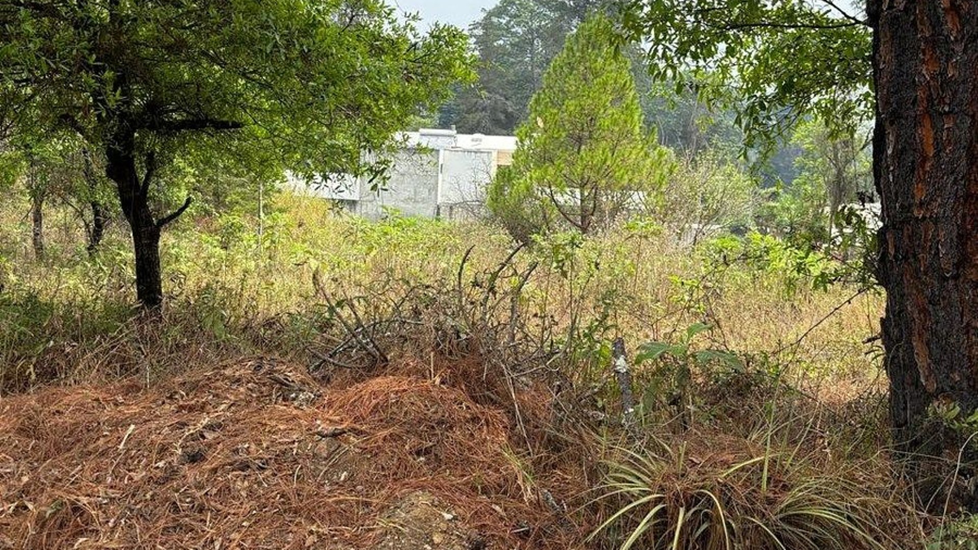 TERRENO EN VENTA EN E ENCINAL ZONA 7 DE MIXCO