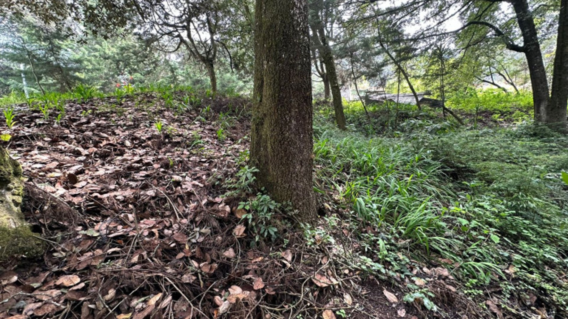 Terreno en Venta en Santa Lucia Milpas Altas - Miniatura 9