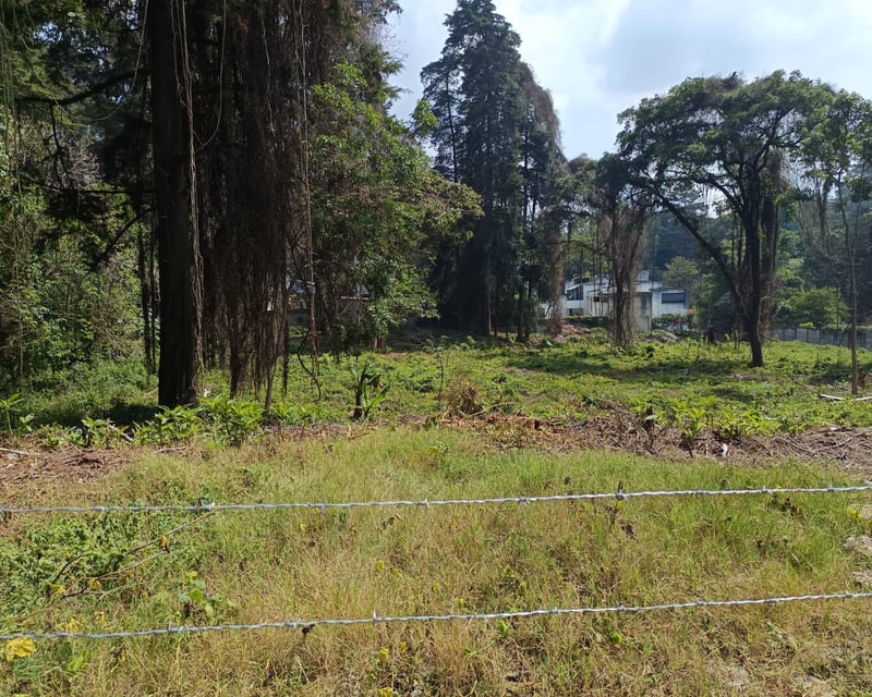 📍 TERRENO EN VENTA – RESIDENCIAL EL ENCINAL TRONCO 2 | Z.7 DE MIXCO