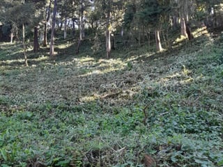 Terreno en Venta La Hondonada Santa Catarina Pinula - 3