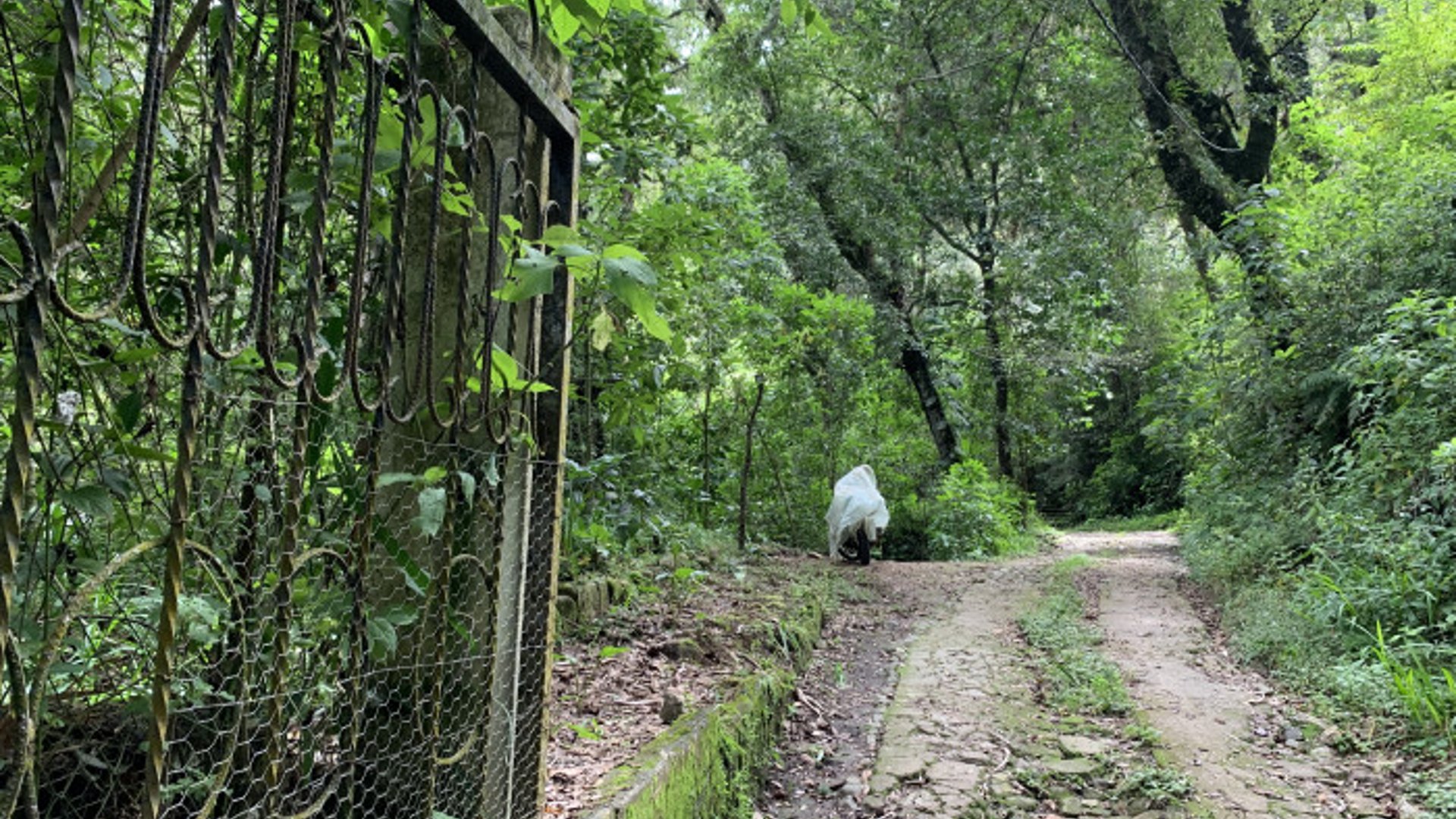 Finca en venta en Santiago Sacatepequez - Miniatura 11