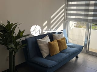 Cozy 2 Bed Apartment, Zona 15 Guatemala City - 2