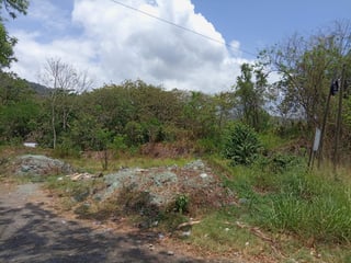 TEREENO EN VENTA EN DOÑA MARIA GUALÁN ZACAPA - 5