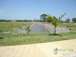 TERRENO EN VENTA PUERTO QUETZAL HACIA IZTAPA - 2