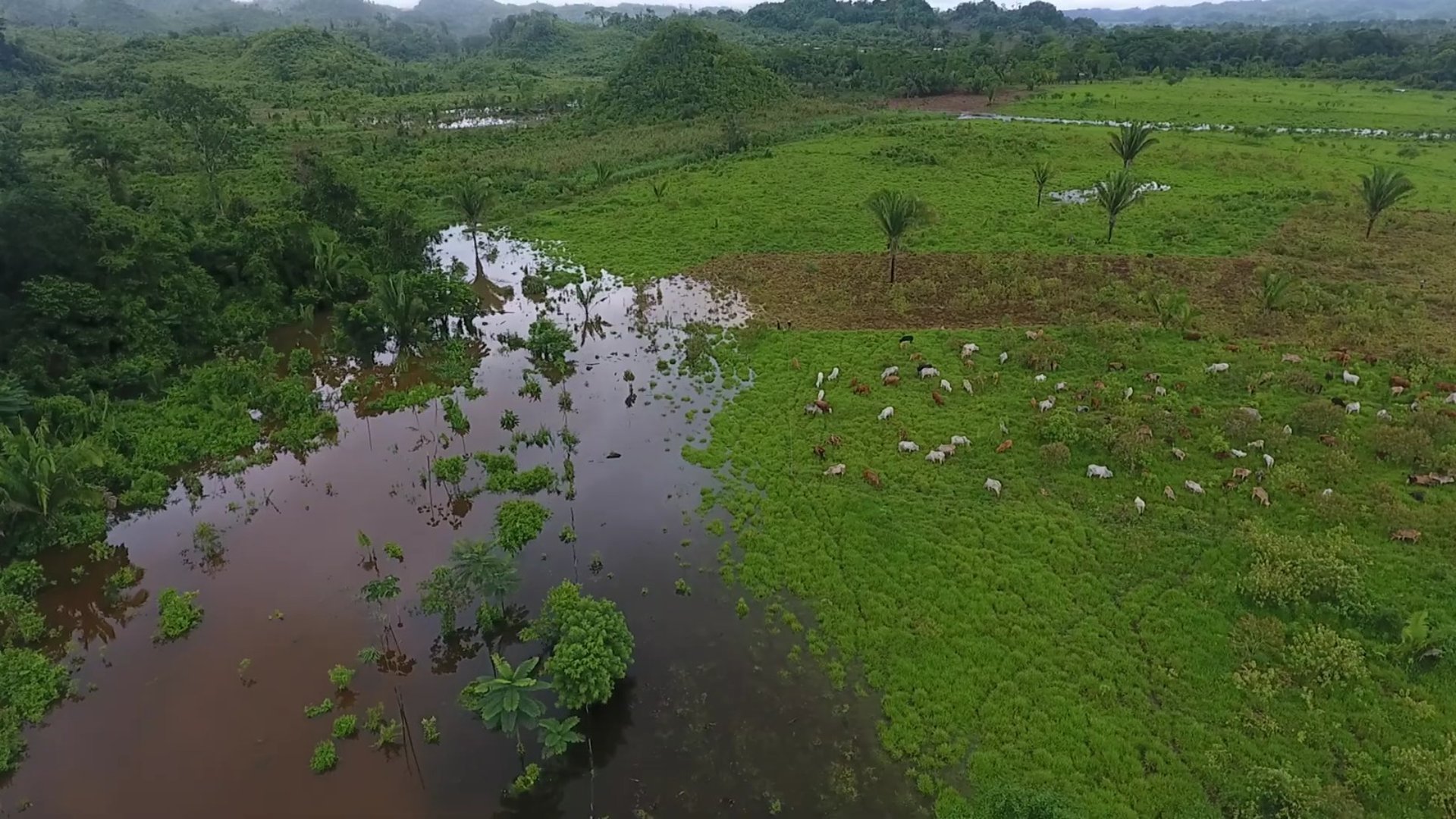 FINCA EN VENTA EN ALTA VERAPAZ - Miniatura 6