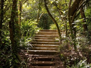 LEGADO DEL BISQUE / Terreno en Venta - 4