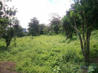 Terreno en venta a pocos minutos del centro de Antigua - 3