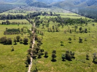 Livestock Farm for Sale in Panzós, Alta Verapaz - 3