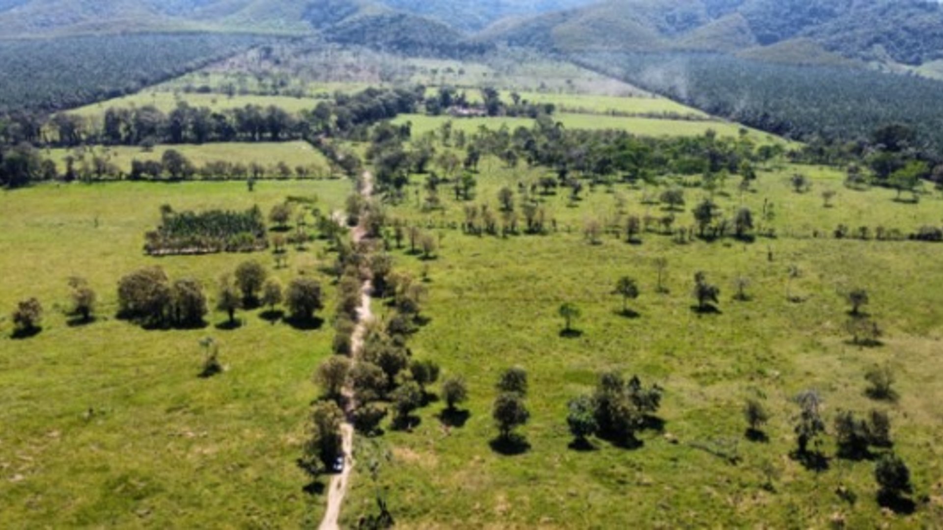 Livestock Farm for Sale in Panzós, Alta Verapaz - Miniatura 3