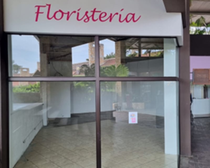 Local Comercial en Vista Muxbal Plaza