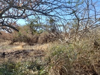 Terreno en Venta Quintas Malibú, Escuintla, Guatemala - 4