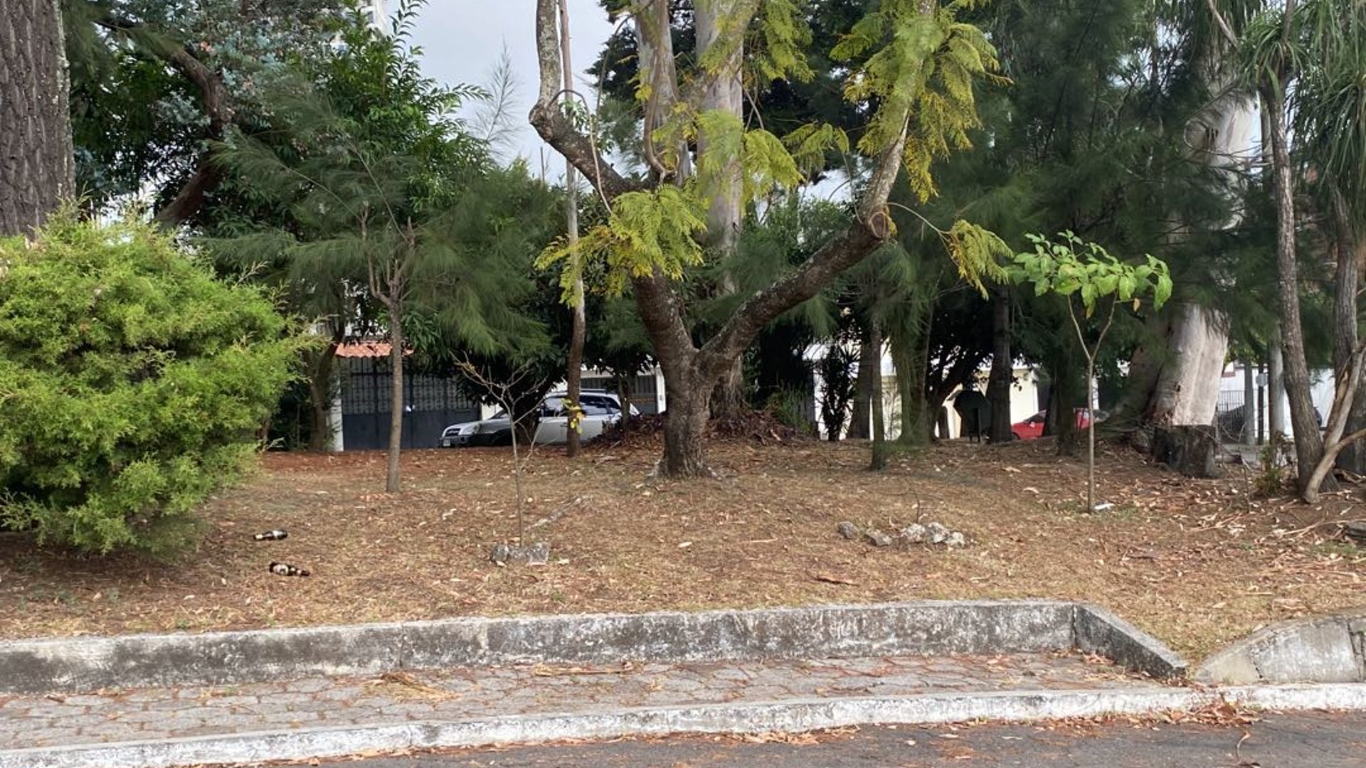 Apartamento en Renta en Granai II Zona 11 - Miniatura 14