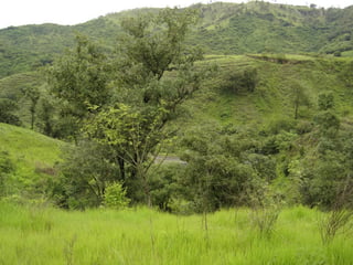Terreno en Venta Aldea Agua Caliente El Progreso - Image 2