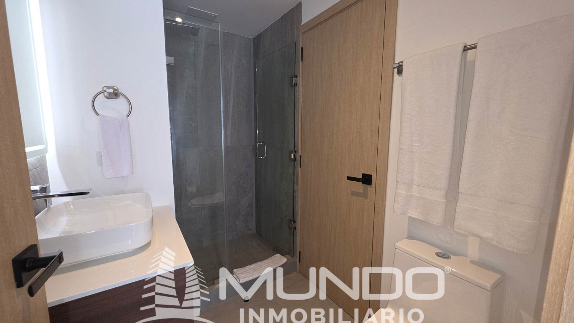 APARTAMENTO EN RENTA AMUEBLADO EN BONADIEZ - Miniatura 6