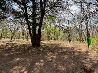 Venta de Terrenos en Condominio Casa & Campo - 2