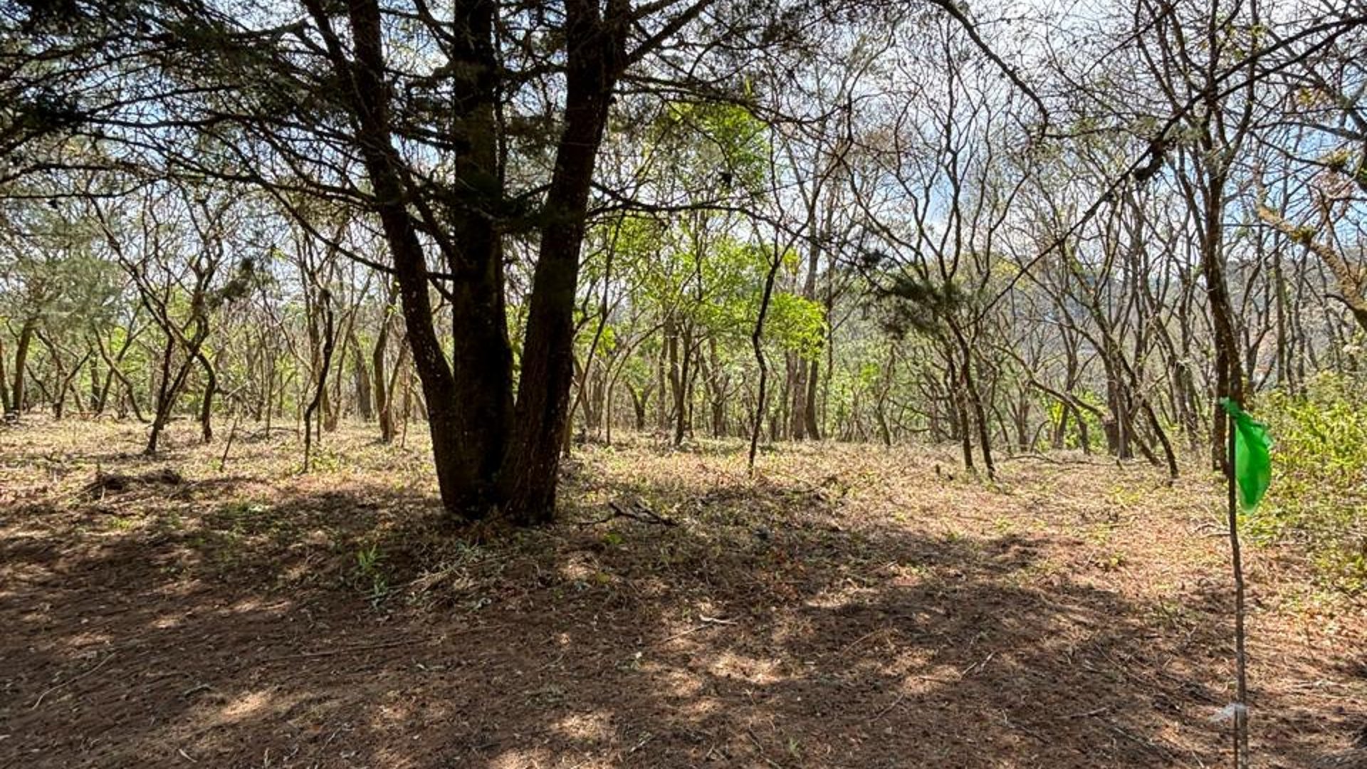 Venta de Terrenos en Condominio Casa & Campo - Miniatura 2