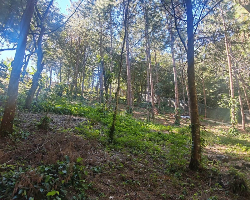 Finca en Venta de 9 manzanas en Fraijanes Guatemala