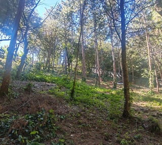 Finca en Venta de 9 manzanas en Fraijanes Guatemala