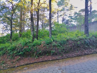 Vendo Terreno, Bosque Exclusivo | Labor de Castilla 1 - 5
