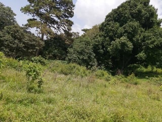 Terreno en venta en Fraijanes, El Sausalito - 2