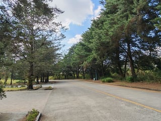 en venta en Casa   Campo Terreno plano - Image 4