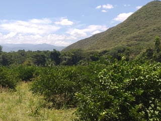 FINCA EN VENTA EN EL PROGRESO  - 4