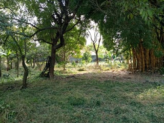 TERRENO EN VENTA – GUAJITOS, LOMA BLANCA | ZONA 21 - 5