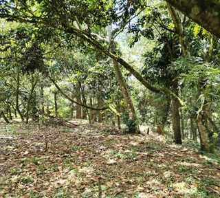 Terreno en Venta en Montebello II