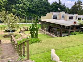 JARDIN PARA EVENTOS EN RENTA EN KM 19.5 CAES - Image 1