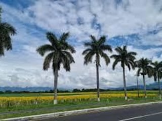 TERRENO AUTOPISTA PTO. QUETZAL, ESCUINTLA - 2