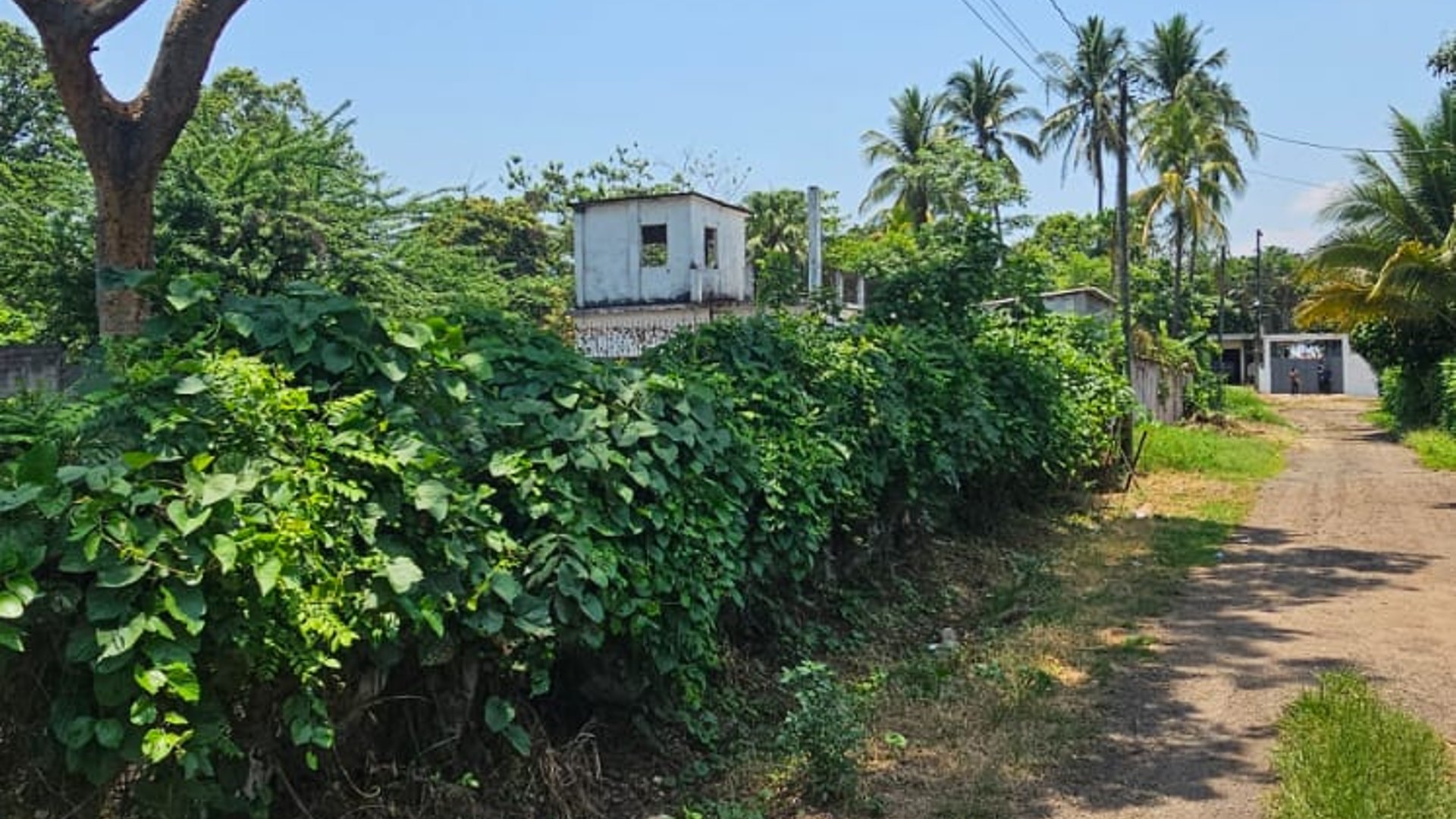 ???? TERRENO EN VENTA – 1,500 M² | QUINTAS VALLARTA | ESCUINTLA - Miniatura 10