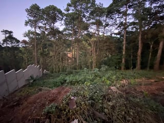 Terreno en Venta en Santa Rosalía - 3