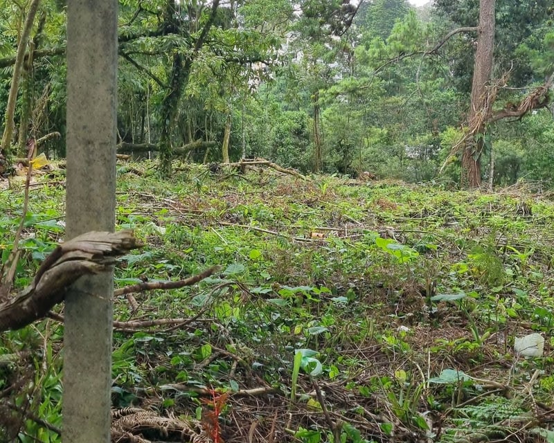 TERRENO EN VENTA EN STA ROSALIA LA LAGUNA