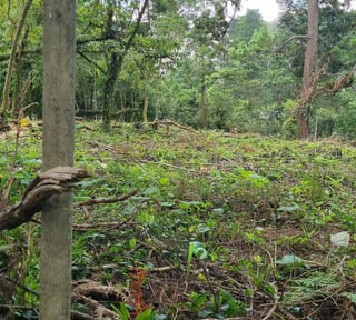 TERRENO EN VENTA EN STA ROSALIA LA LAGUNA