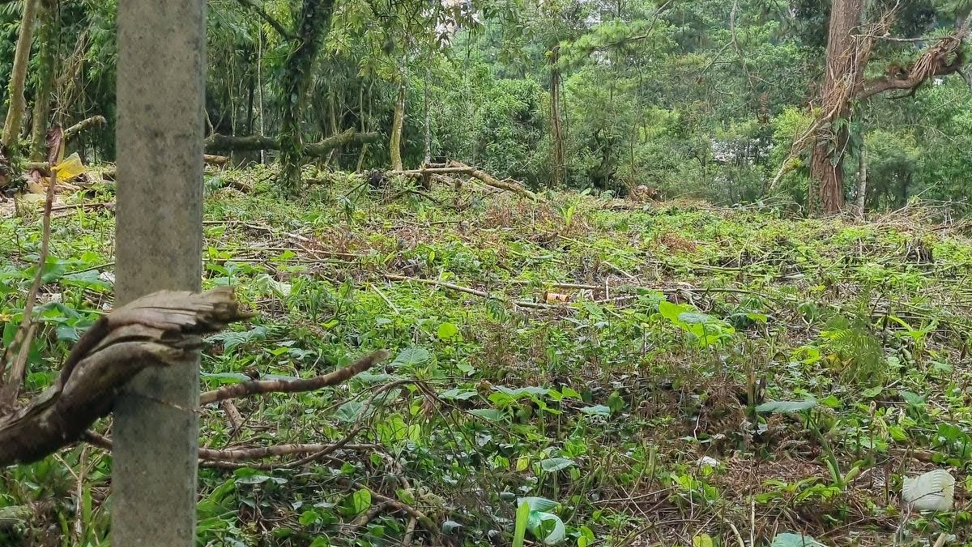 TERRENO EN VENTA EN STA ROSALIA LA LAGUNA