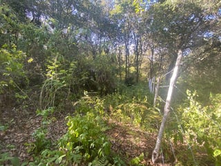 Terreno en Venta Mixco Zona 7, El Encinal, 1 Manzana - 2